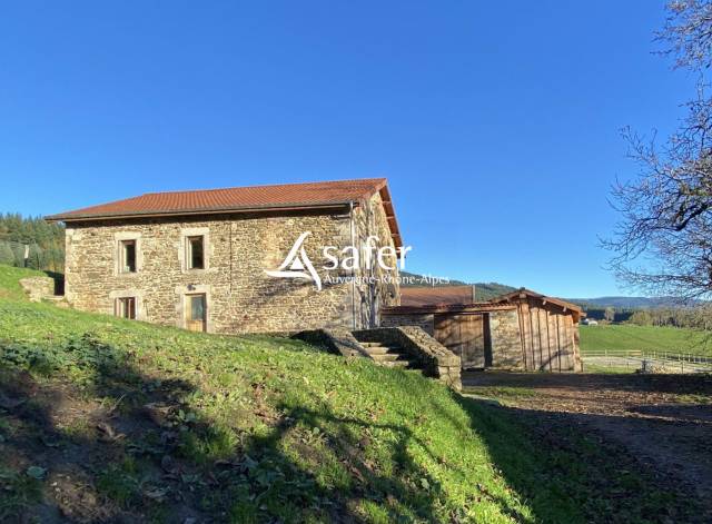 Hog farm / Piggery  Puy-de-D&ocirc;me