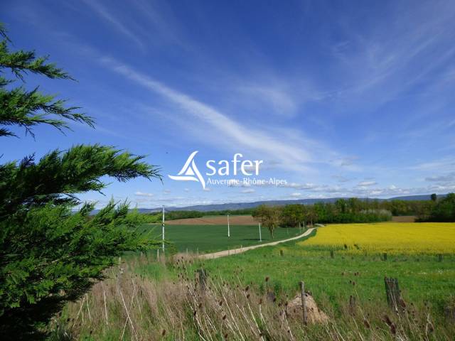 Other country property  Ain