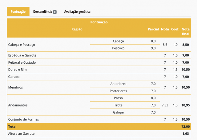 Mare Lusitano For sale 2021 Grey