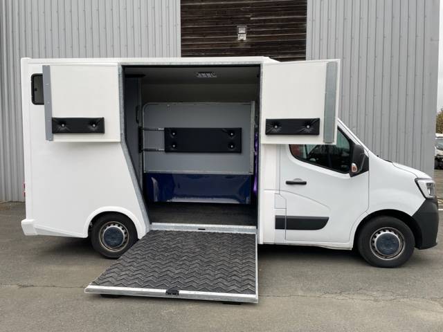 Horsebox HGV Renault MASTER 2021 New