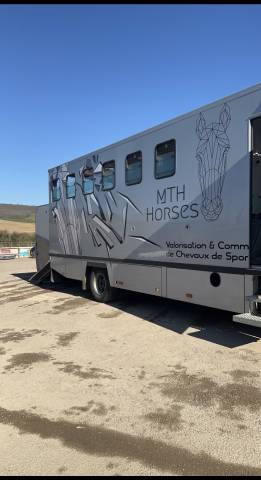 Horsebox NON-HGV Theault  2009 Used