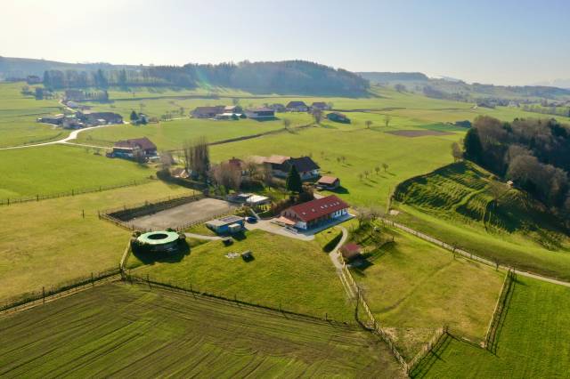Equestrian farm  Fribourg