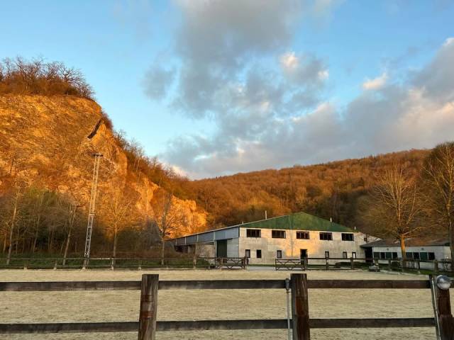 Groom, Stud - Temporary contract Full time - Li&egrave;ge Belgium