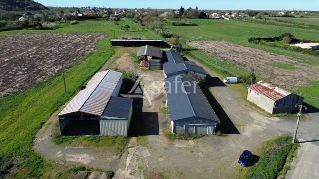 Sheep farm  Deux-S&egrave;vres