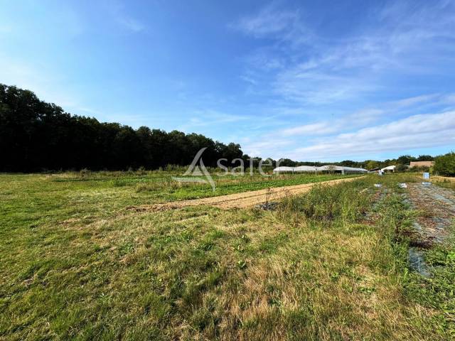 Poultry farm  Seine-et-Marne