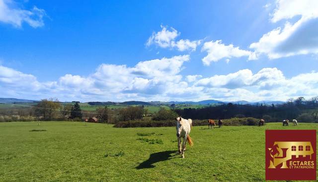 Equestrian property  Allier