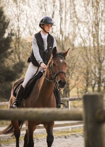 Mare Selle Fran&ccedil;ais For sale 2021 Bay