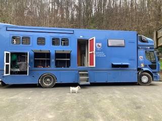 Horsebox NON-HGV Renault 44HH1 2011 Used