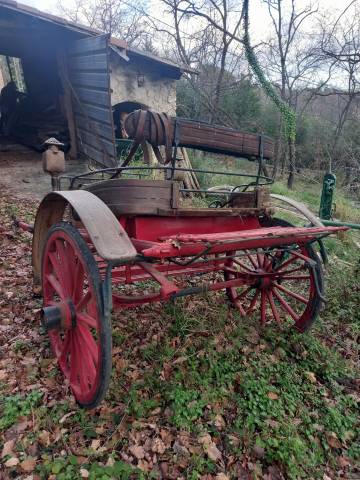 Carriage - Cal&egrave;che   