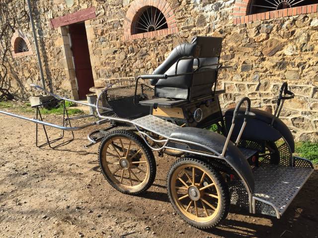 Carriage - Marathon for leisure - Other brand -  