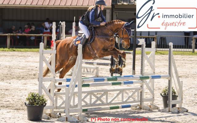Riding school  Deux-S&egrave;vres