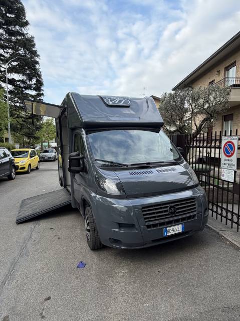 Horsebox HGV Fiat  Ducato 2009 New