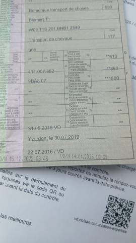 Horse trailer Blomert T1 1,5 Stalls 2016 Used