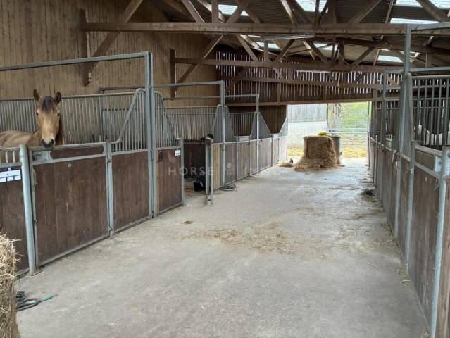 Riding school  Morbihan