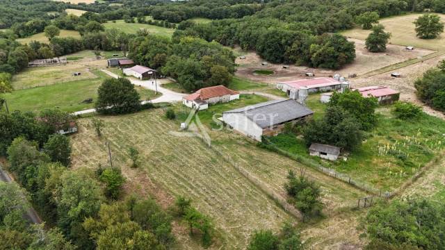 Hog farm / Piggery  Lot