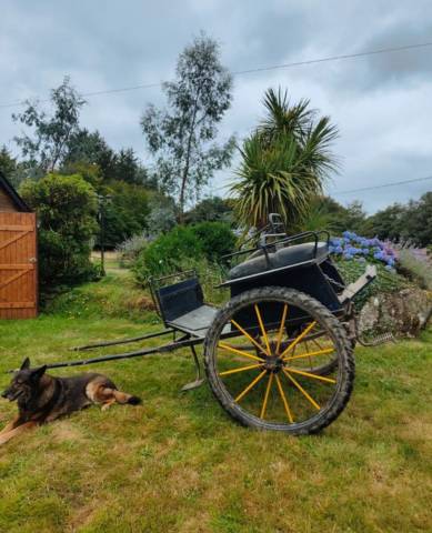 Carriage - Dogcart - Other brand - Type dog-cart 