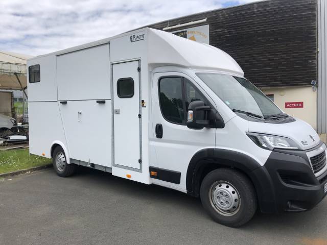Horsebox HGV AP Petit Peugeot Boxer L4  2020 New