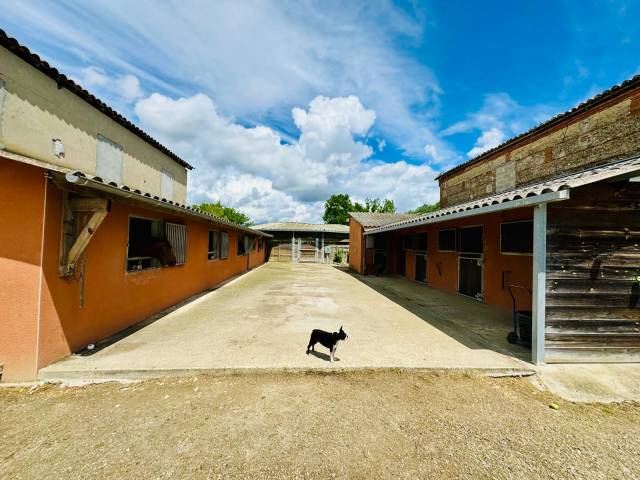 Equestrian property  Tarn-et-Taronne