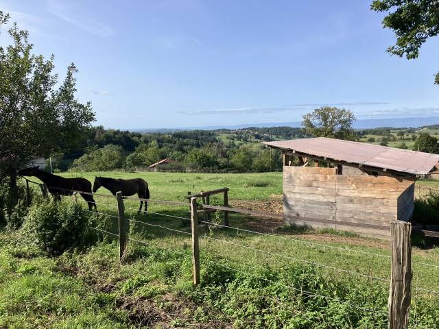 Equestrian farm  Rh&ocirc;ne