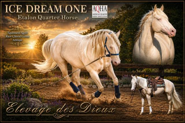 ICE DREAM ONE  - Quarter 2011 by MR TUFFEASY SMOKE