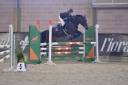 Gelding French Saddle Pony For sale 2013 Dark Bay