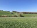 Other agricultural property  Lot-et-Garonne