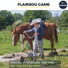 Gelding French Trotter For sale 2015 Chesnut