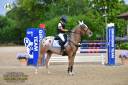 Mare Origin Recorded For sale 2019 Roan