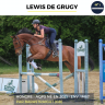 Gelding AQPS For sale 2022 Bay
