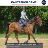 Gelding French Trotter For sale 2020 Bay