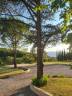 Equestrian property  Dr&ocirc;me