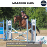 Gelding Thoroughbred For sale 2022 Bay