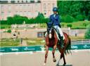 Mare Hanoverian For sale 2015 Bay
