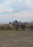 Carriage - Marathon for competition - Other brand -  