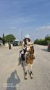Mare Other Pony Breed For sale 2010 Coloured