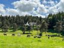 Equestrian property  Haute-Loire