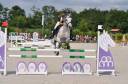 Mare Other Pony Breed For sale 2013 Bay