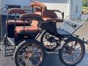 Carriage - Marathon for leisure Dominiak Training Poney 