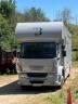 Horsebox NON-HGV Daf living 2008 Used