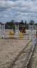 Entire New Forest For sale 2022 Bay
