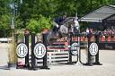 Gelding Selle Fran&ccedil;ais For sale 2018 Grey