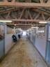 Equestrian property  H&eacute;rault