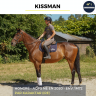 Gelding AQPS For sale 2020 Bay