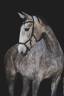 Mare Lusitano For sale 2020 Grey