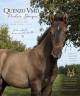 Colt PRE Pure Spanish Bred For sale 2026 Black