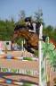 Mare French Saddle Pony For sale 2017 Bay