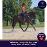 Gelding Thoroughbred For sale 2022 Dark Bay