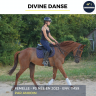 Mare Thoroughbred For sale 2023 Chesnut