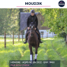 Gelding AQPS For sale 2022 Bay