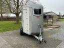 Horse trailer Bockmann Portax E 2 Stalls 2021 Used